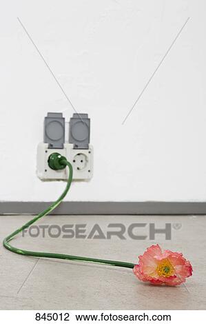 A cord that looks like a flower and stem plugged into an outlet View Large Photo Image Stock Image - A cord that looks like a flower and stem plugged into an outlet. Fotosearch