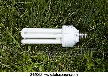 An energy saving light bulb lying in grass View Large Photo Image Stock Image - An energy saving light bulb lying in grass. Fotosearch