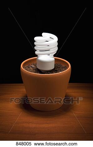 An energy saving light bulb in dirt in a flower pot View Large Photo Image Stock Photography - An energy saving light bulb in dirt in a flower pot. Fotosearch