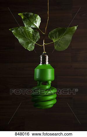 An energy saving light bulb painted green hanging from a vine View Large Photo Image Stock Photograph - An energy saving light bulb painted green hanging from a vine. Fotosearch
