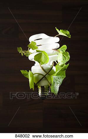 An energy saving light bulb with ivy wrapped around it View Large Photo Image Stock Image - An energy saving light bulb with ivy wrapped around it. Fotosearch