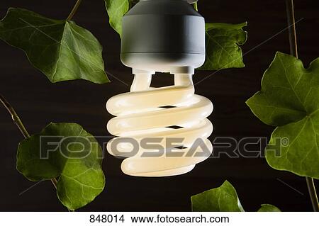 Picture - An illuminated energy saving light bulb surrounded by ivy leaves. Fotosearch