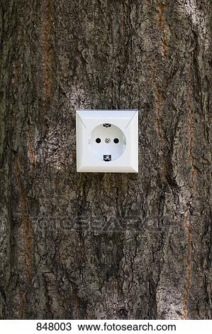Stock Image - An outlet in a tree. Fotosearch