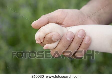 A baby holding the hand of an adult View Large Photo Image Stock Image - A baby holding the hand of an adult. Fotosearch