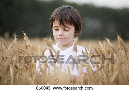 A boy standing in a wheat field View Large Photo Image Stock Image - A boy standing in a wheat field. Fotosearch