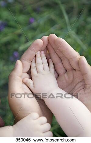 The hands of a baby and adult View Large Photo Image Stock Photograph - The hands of a baby and adult. Fotosearch