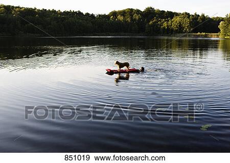 A man pushing a dog on a pool raft in a lake View Large Photo Image Stock Photo - A man pushing a dog on a pool raft in a lake. Fotosearch