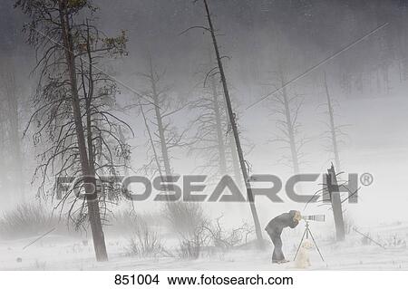 A photographer shooting in Yellowstone National Park, Lamar Valley, Wyoming View Large Photo Image Picture - A photographer shooting in Yellowstone National Park, Lamar Valley, Wyoming. Fotosearch
