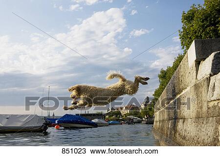 A Portuguese Waterdog jumping into the sea View Large Photo Image Stock Image - A Portuguese Waterdog jumping into the sea. Fotosearch