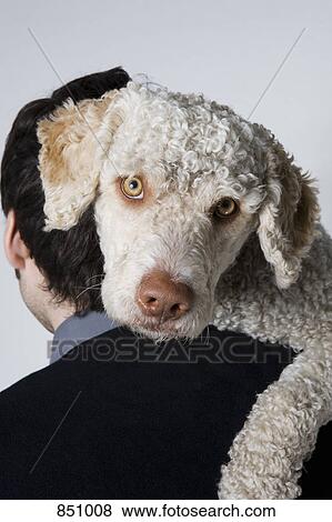 Stock Photo - Portrait of a man holding a dog, rear view. Fotosearch