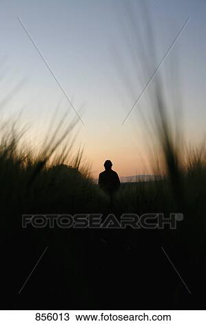 Stock Image - Rear view of a person watching the sunset in a field of rye. Fotosearch