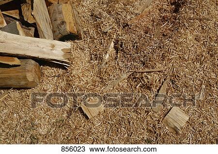 Sawdust and pieces of wood View Large Photo Image Stock Image - Sawdust and pieces of wood. Fotosearch