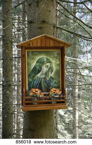 Stock Photo - Shrine to the Virgin Mary hanging on a tree in the woods. Fotosearch