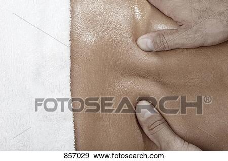 Hands massaging a back View Large Photo Image Stock Photo - Hands massaging a back. Fotosearch