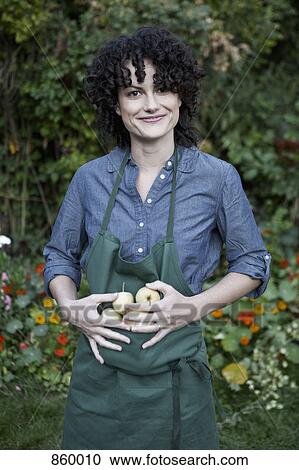 Stock Image - A woman holding a small group of freshly picked apples in her apron. Fotosearch