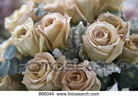 Detail of a bouquet of flowers View Large Photo Image Picture - Detail of a bouquet of flowers. Fotosearch