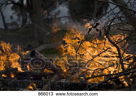 Detail of a forest fire View Large Photo Image Stock Image - Detail of a forest fire. Fotosearch