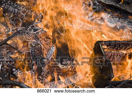 Stock Image - Detail of a forest fire. Fotosearch