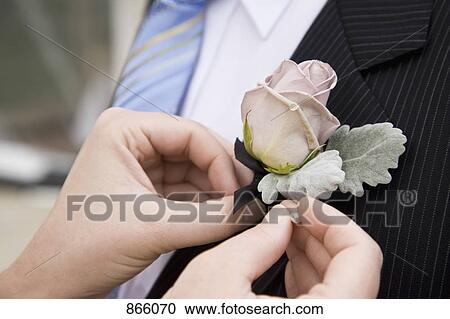 Detail of a woman pinning a corsage to a jacket lapel View Large Photo Image Stock Image - Detail of a woman pinning a corsage to a jacket lapel. Fotosearch