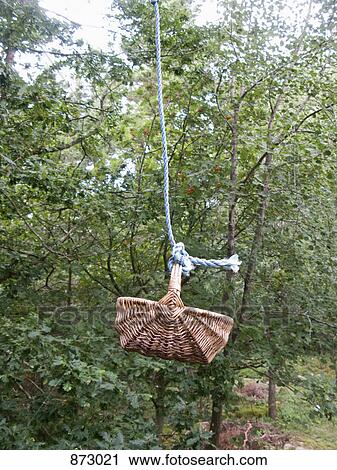 A basket hanging from a rope amongst trees View Large Photo Image Stock Image - A basket hanging from a rope amongst trees. Fotosearch