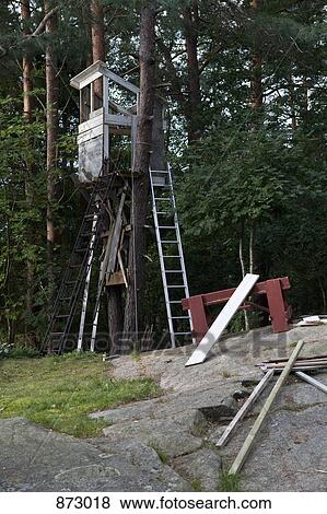 Stock Photo - Building a tree house. Fotosearch