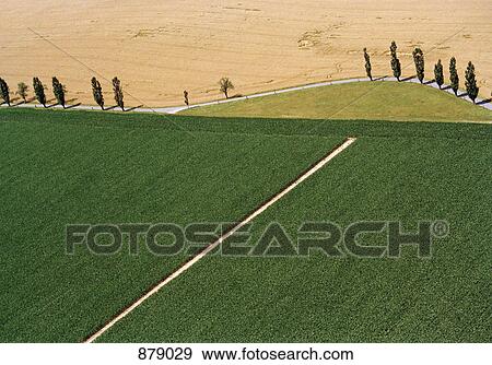 Aerial view of fields View Large Photo Image Stock Photo - Aerial view of fields. Fotosearch