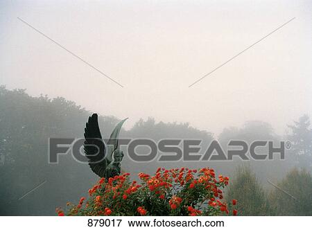 Angel statue, Potsdam, Brandenburg, Germany View Large Photo Image Stock Photo - Angel statue, Potsdam, Brandenburg, Germany. Fotosearch