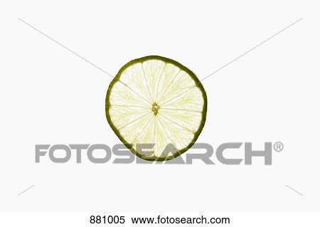 A slice of an organic lime on a lightbox View Large Photo Image Stock Photography - A slice of an organic lime on a lightbox. Fotosearch