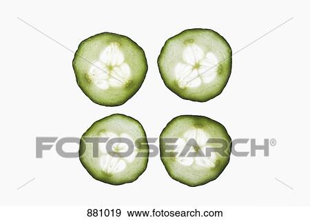 Four slices of an organic cucumber on a lightbox View Large Photo Image Stock Photo - Four slices of an organic cucumber on a lightbox. Fotosearch