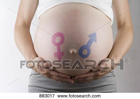 Symbols for male and female drawn on a pregnant belly, midsection, focus on abdomen View Large Photo Image Stock Photo - Symbols for male and female drawn on a pregnant belly, midsection, focus on abdomen. Fotosearch