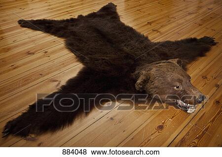 Un Alfombra Piel Oso En De Madera Duela Coleccion De Foto