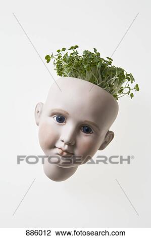 Stock Image - Cress growing in the head of a doll. Fotosearch