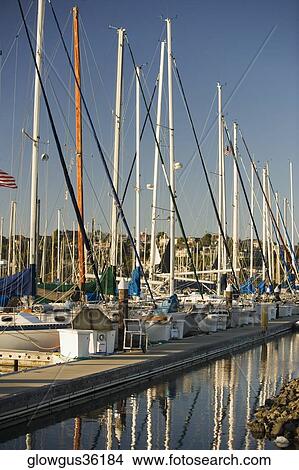 Boats moored at a harbor View Large Photo Image Picture - Boats moored at a harbor. Fotosearch