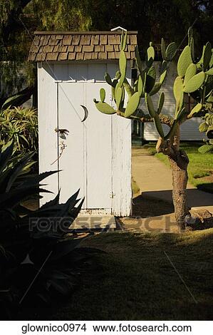 Picture - Cactus plant growing beside an outhouse. Fotosearch