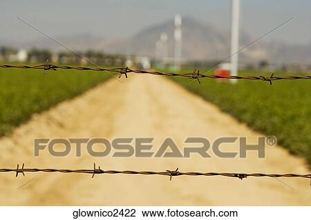 Close-up of a barbed wire fence on a farm View Large Photo Image Stock Image - Close-up of a barbed wire fence on a farm. Fotosearch