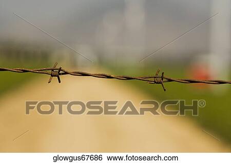 Stock Photograph - Close-up of a barbed wire fence on a farm. Fotosearch