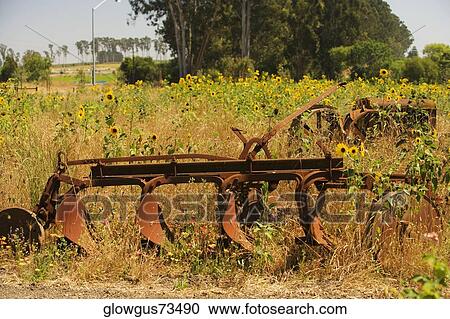 Close-up of a harvester in a cultivated field View Large Photo Image Stock Image - Close-up of a harvester in a cultivated field. Fotosearch