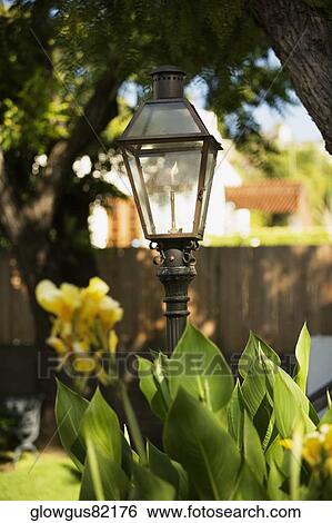 Close-up of a street light View Large Photo Image Stock Photograph - Close-up of a street light. Fotosearch