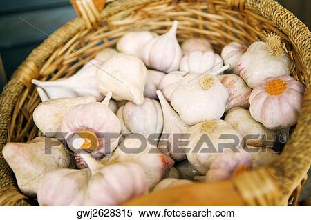 Close-up of garlic in a basket, San Diego, California, USA View Large Photo Image Stock Photography - Close-up of garlic in a basket, San Diego, California, USA. Fotosearch