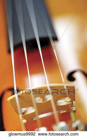 Close-up of violin and its bridge and strings View Large Photo Image Stock Image - Close-up of violin and its bridge and strings. Fotosearch
