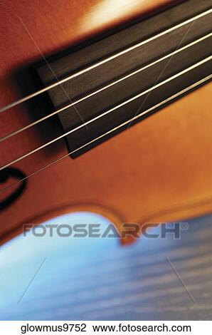 Close-up of violin and its strings View Large Photo Image Stock Image - Close-up of violin and its strings. Fotosearch