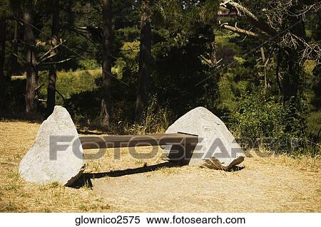 Empty bench in a Forest View Large Photo Image Stock Photography - Empty bench in a Forest. Fotosearch