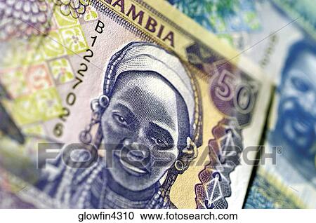 Extreme close-up of Gambian bank note View Large Photo Image Stock Image - Extreme close-up of Gambian bank note. Fotosearch