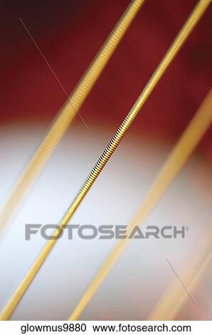 Extreme close-up of guitar strings View Large Photo Image Stock Image - Extreme close-up of guitar strings. Fotosearch