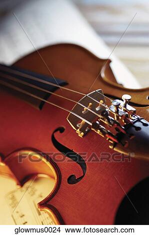 Extreme close-up of violin bridge View Large Photo Image Picture - Extreme close-up of violin bridge. Fotosearch