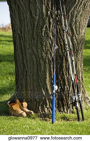 Fishing rods leaning against a tree View Large Photo Image Stock Photo - Fishing rods leaning against a tree. Fotosearch