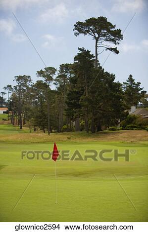 Golf flag in a golf course View Large Photo Image Picture - Golf flag in a golf course. Fotosearch
