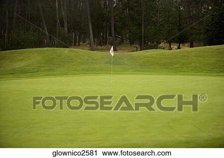 Golf flag in a golf course View Large Photo Image Stock Image - Golf flag in a golf course. Fotosearch
