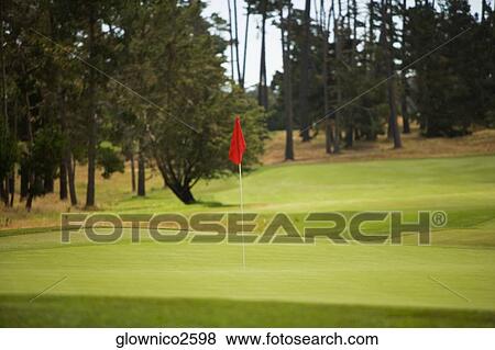 Golf flag in a golf course View Large Photo Image Stock Photo - Golf flag in a golf course. Fotosearch