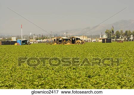 Group of people working in a farm View Large Photo Image Stock Photo - Group of people working in a farm. Fotosearch